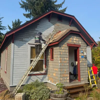 Painting Services - 1.webp